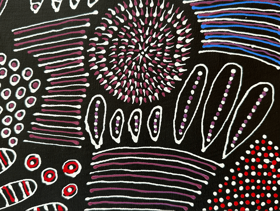 Anna Pitjara Petyarre Utopia Body Paint Design Awelye Womens Ceremony Indigenous Art Aboriginal Art Australian Art Iconography Symbolism Dot art Contemporary Art Traditional Art Based in Darwin (Australia)