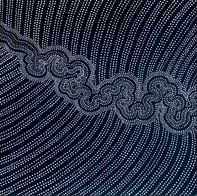 ANNA PITJARA PETYARRE - My Country - Aboriginal Art - Indigenous Artwork - Based in Darwin (Australia)