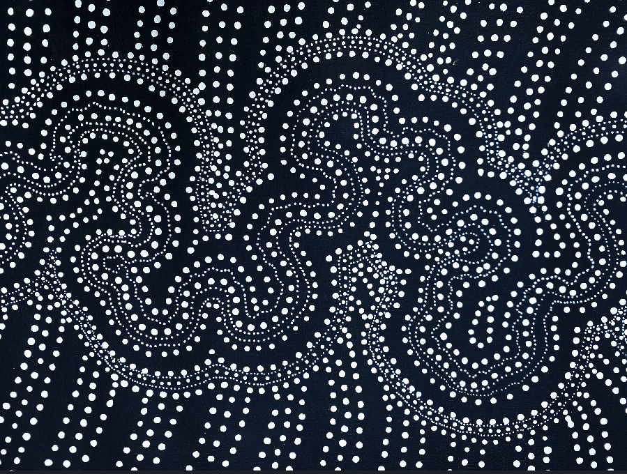 ANNA PITJARA PETYARRE - My Country - Aboriginal Art - Indigenous Artwork - Based in Darwin (Australia)