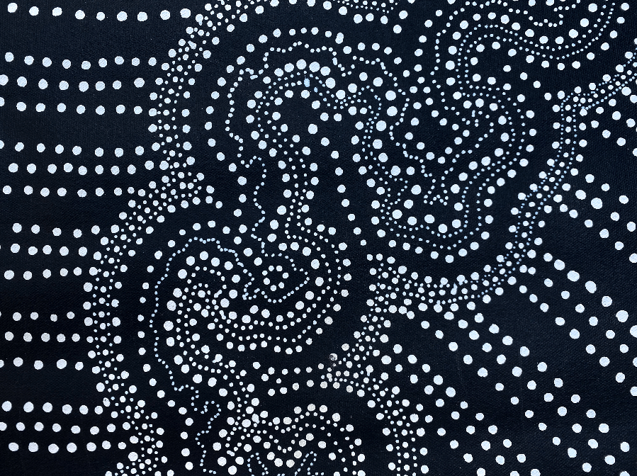 ANNA PITJARA PETYARRE - My Country - Aboriginal Art - Indigenous Artwork - Based in Darwin (Australia)