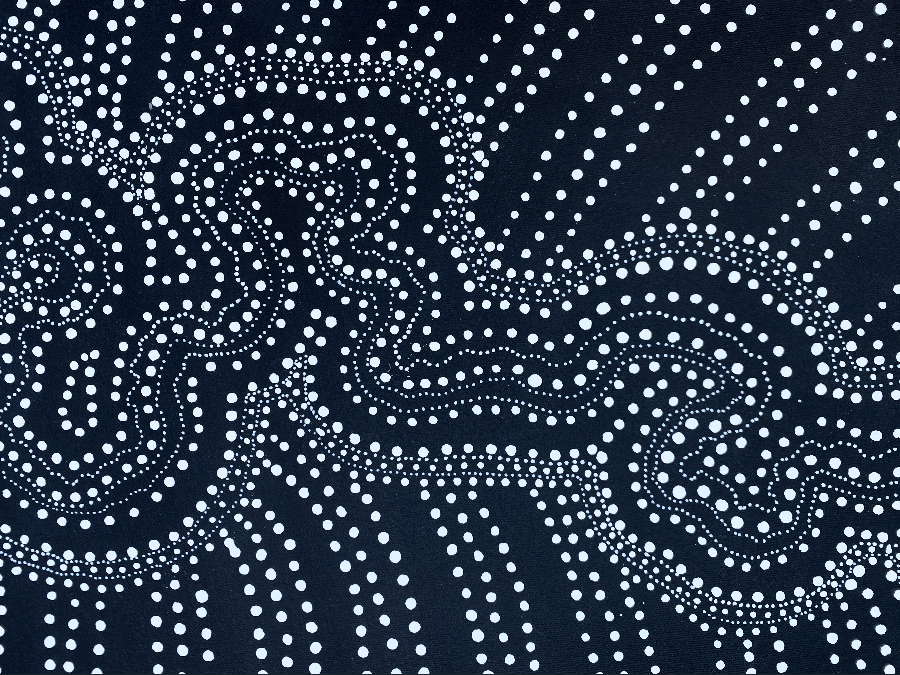 ANNA PITJARA PETYARRE - My Country - Aboriginal Art - Indigenous Artwork - Based in Darwin (Australia)