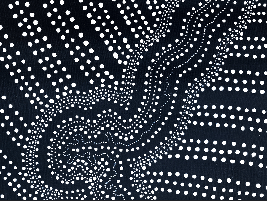 ANNA PITJARA PETYARRE - My Country - Aboriginal Art - Indigenous Artwork - Based in Darwin (Australia)