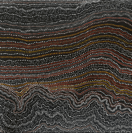 ANNA PITJARA PETYARRE - My Country - Indigenous Art - Aboriginal Artwork - Based in Darwin (Australia)