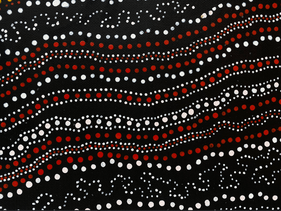 ANNA PITJARA PETYARRE - My Country - Indigenous Art - Aboriginal Artwork - Based in Darwin (Australia)