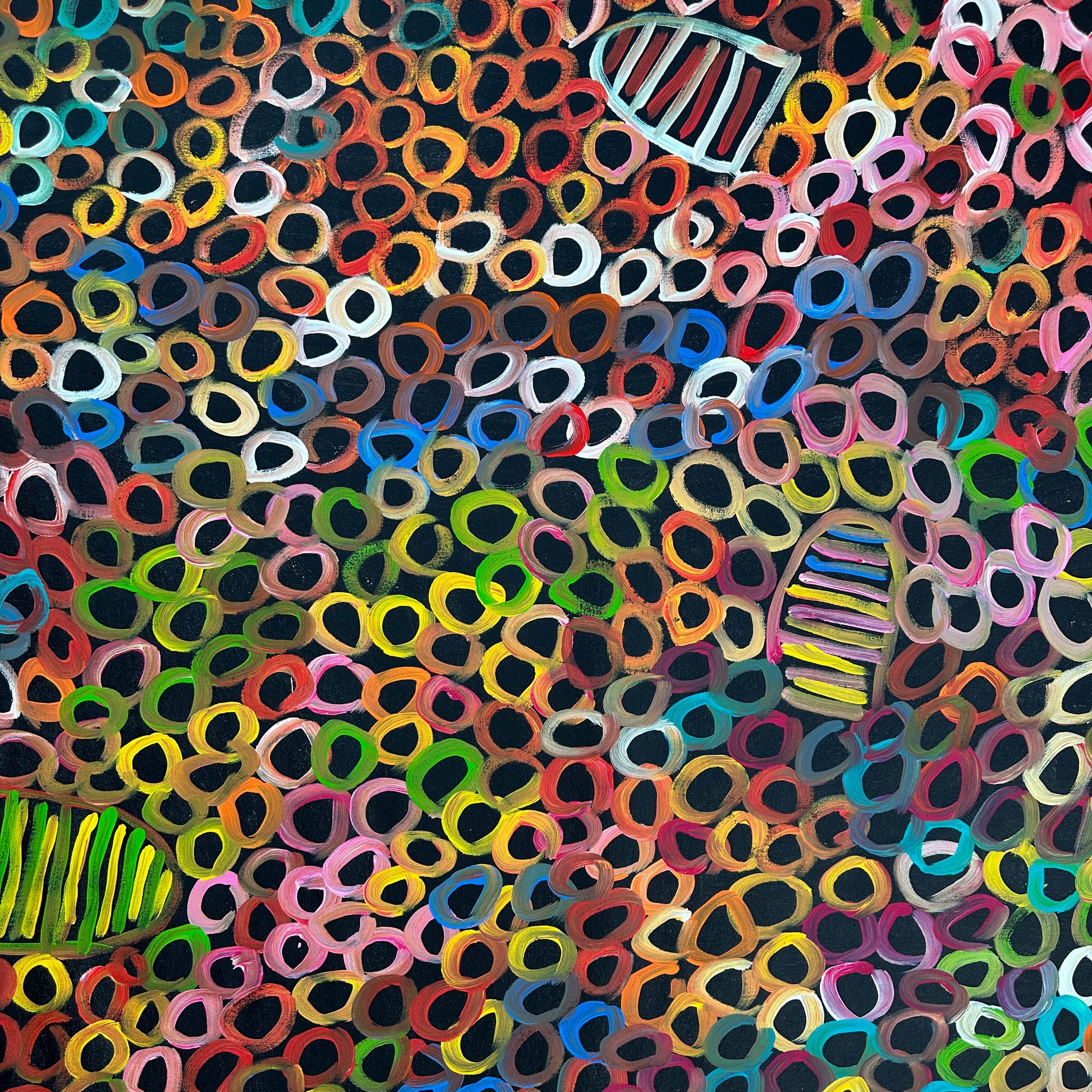 Betty Club Mbitjana, Utopia, Anwekety, Awelye, Women’s Dreaming, Art for Sale, Indigenous Art for sale, Aboriginal art for sale, Australian Art, art for sale, painting for sale, art décor, interior décor, décor, womens ceremony, art work, art gallery, Altyerre Aboriginal Art, Darwin Art Gallery, Utopia, Utopian artist, art, painting, Ethical art, original art, direct from the artist, family business, famous artist, art lover, iconic art, art story, female artist, minnie pwerle, symbolism, iconography, women