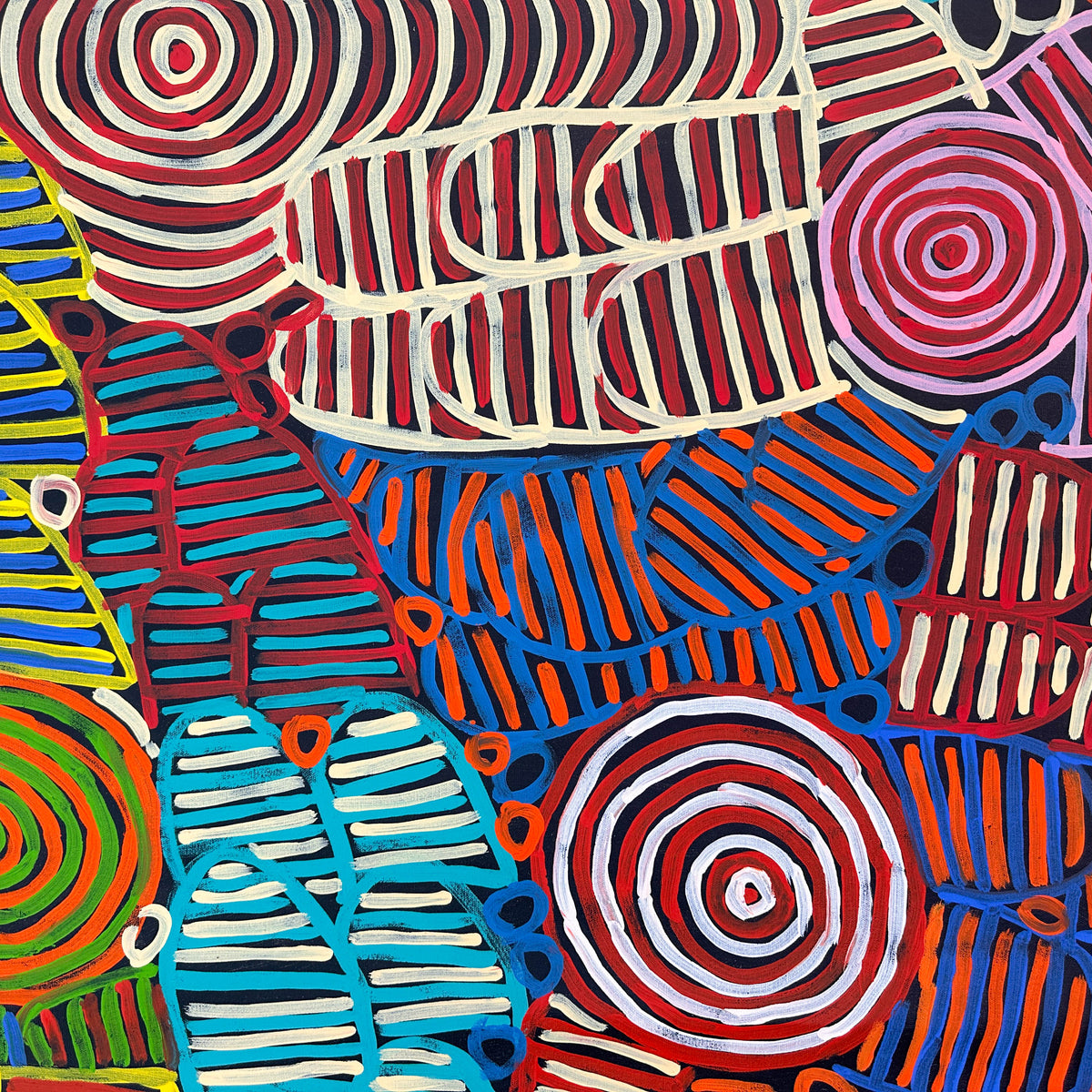 Betty Club Mbitjana, Utopia, Anwekety, Awelye, Women’s Dreaming, Art for Sale, Indigenous Art for sale, Aboriginal art for sale, Australian Art, art for sale, painting for sale, art décor, interior décor, décor, womens ceremony, art work, art gallery, Altyerre Aboriginal Art, Darwin Art Gallery, Utopia, Utopian artist, art, painting, Ethical art, original art, direct from the artist, family business, famous artist, art lover, iconic art, art story, female artist, minnie pwerle, symbolism, iconography, women