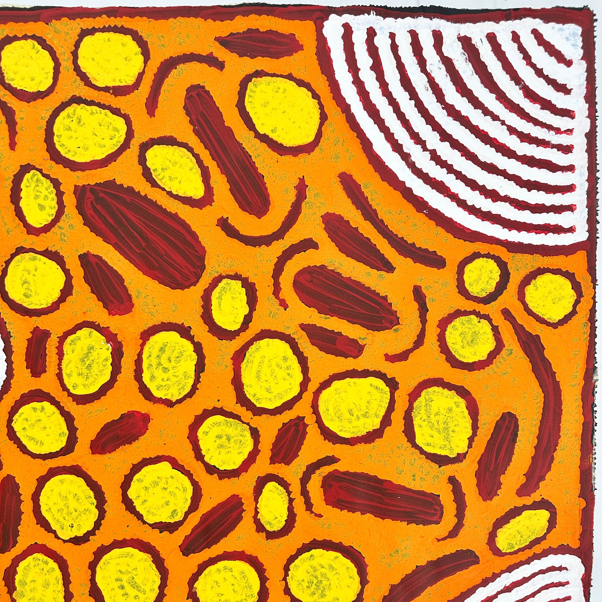 Barbara Napangarti Reid, Gibson Desert, Western Australia, Indigneous art, Aboriginal art, Australian Art, Indigenous art for sale, Aboriginal art for sale, womens ceremony, bush apple, bush tucker, Darwin gallery, altyerre aboriginal art, interior design, Interior décor, family business, outback Australian art, Ngaanyatjarra, Iconography, Symbolism, dreaming 