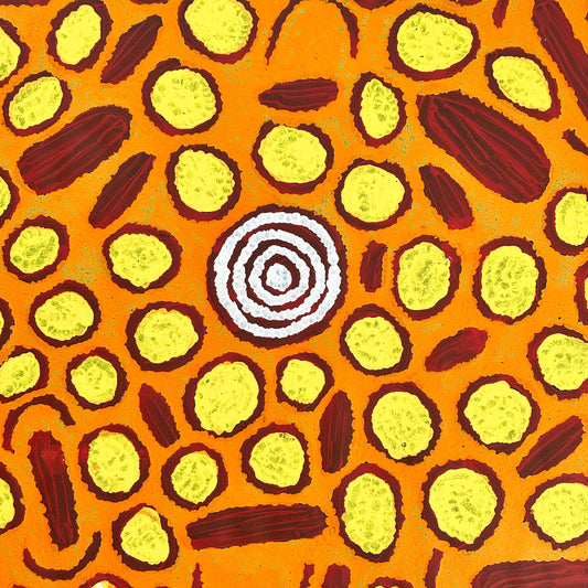 Barbara Napangarti Reid, Gibson Desert, Western Australia, Indigneous art, Aboriginal art, Australian Art, Indigenous art for sale, Aboriginal art for sale, womens ceremony, bush apple, bush tucker, Darwin gallery, altyerre aboriginal art, interior design, Interior décor, family business, outback Australian art, Ngaanyatjarra, Iconography, Symbolism, dreaming 