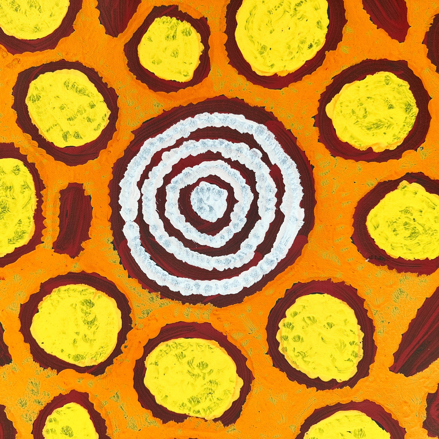 Barbara Napangarti Reid, Gibson Desert, Western Australia, Indigneous art, Aboriginal art, Australian Art, Indigenous art for sale, Aboriginal art for sale, womens ceremony, bush apple, bush tucker, Darwin gallery, altyerre aboriginal art, interior design, Interior décor, family business, outback Australian art, Ngaanyatjarra, Iconography, Symbolism, dreaming 