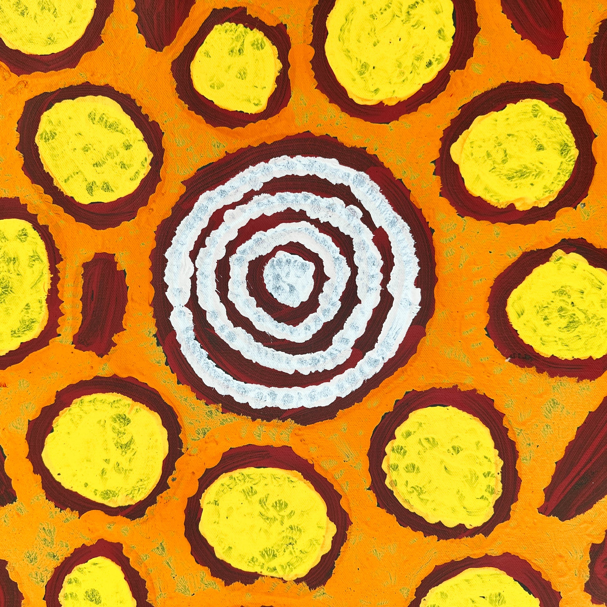 Barbara Napangarti Reid, Gibson Desert, Western Australia, Indigneous art, Aboriginal art, Australian Art, Indigenous art for sale, Aboriginal art for sale, womens ceremony, bush apple, bush tucker, Darwin gallery, altyerre aboriginal art, interior design, Interior décor, family business, outback Australian art, Ngaanyatjarra, Iconography, Symbolism, dreaming 