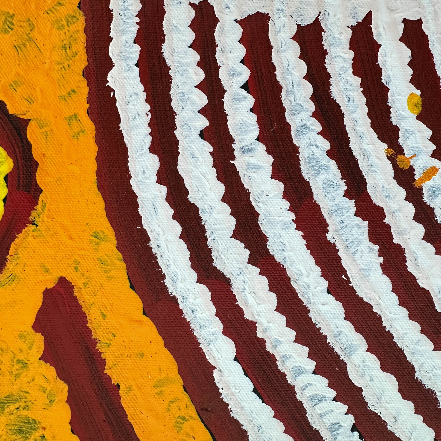 Barbara Napangarti Reid, Gibson Desert, Western Australia, Indigneous art, Aboriginal art, Australian Art, Indigenous art for sale, Aboriginal art for sale, womens ceremony, bush apple, bush tucker, Darwin gallery, altyerre aboriginal art, interior design, Interior décor, family business, outback Australian art, Ngaanyatjarra, Iconography, Symbolism, dreaming 