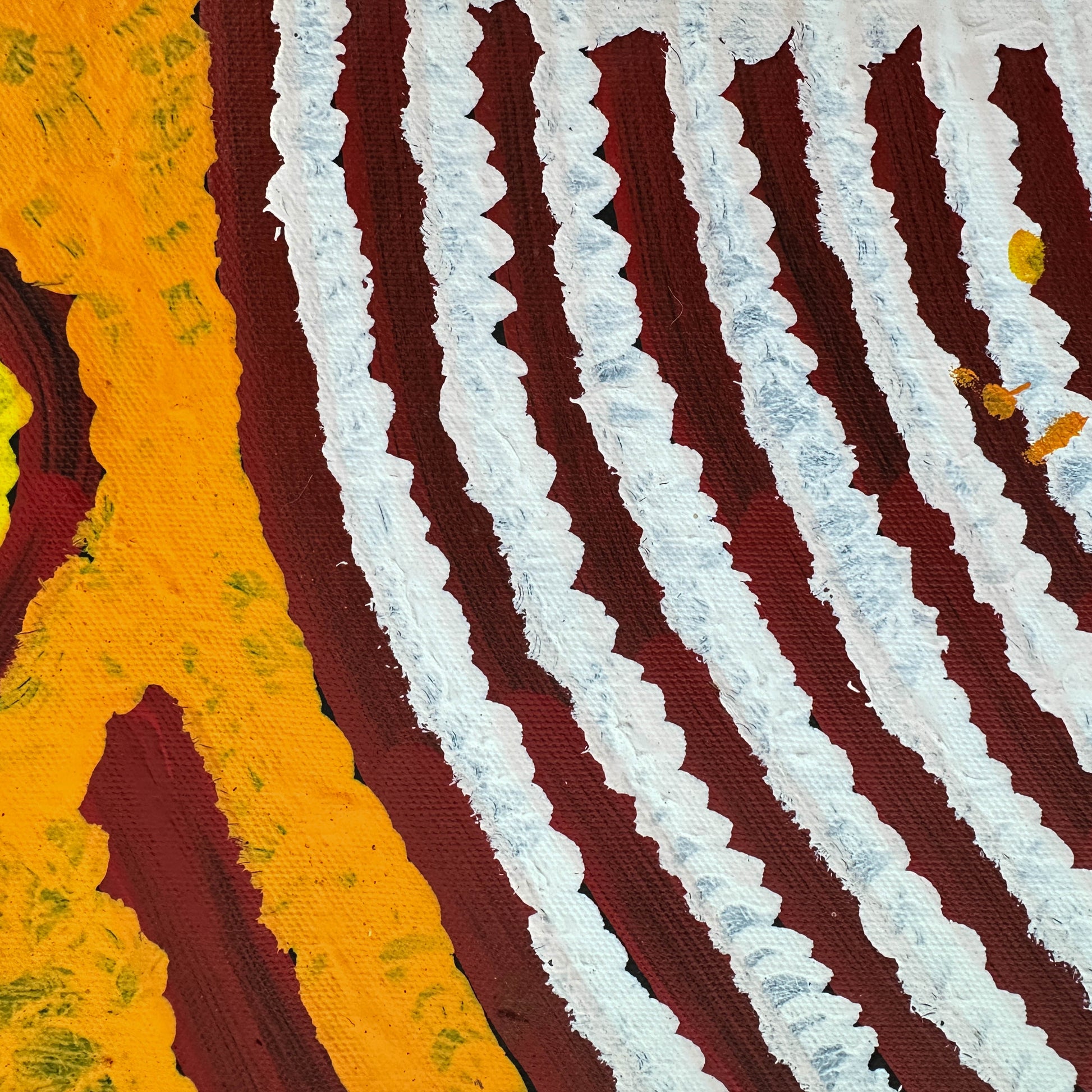 Barbara Napangarti Reid, Gibson Desert, Western Australia, Indigneous art, Aboriginal art, Australian Art, Indigenous art for sale, Aboriginal art for sale, womens ceremony, bush apple, bush tucker, Darwin gallery, altyerre aboriginal art, interior design, Interior décor, family business, outback Australian art, Ngaanyatjarra, Iconography, Symbolism, dreaming 