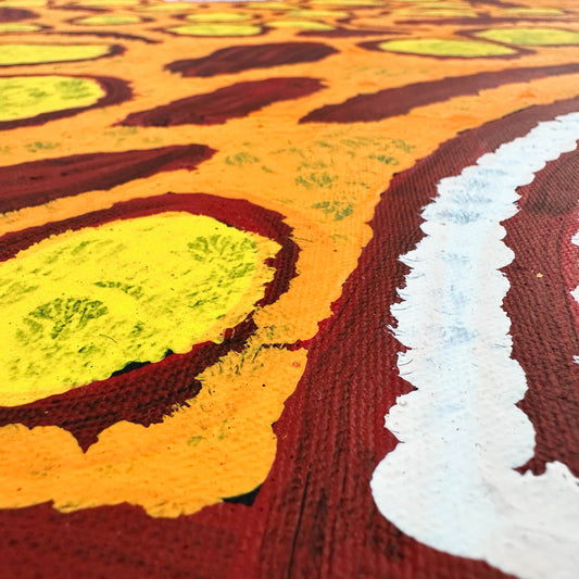 Barbara Napangarti Reid, Gibson Desert, Western Australia, Indigneous art, Aboriginal art, Australian Art, Indigenous art for sale, Aboriginal art for sale, womens ceremony, bush apple, bush tucker, Darwin gallery, altyerre aboriginal art, interior design, Interior décor, family business, outback Australian art, Ngaanyatjarra, Iconography, Symbolism, dreaming 