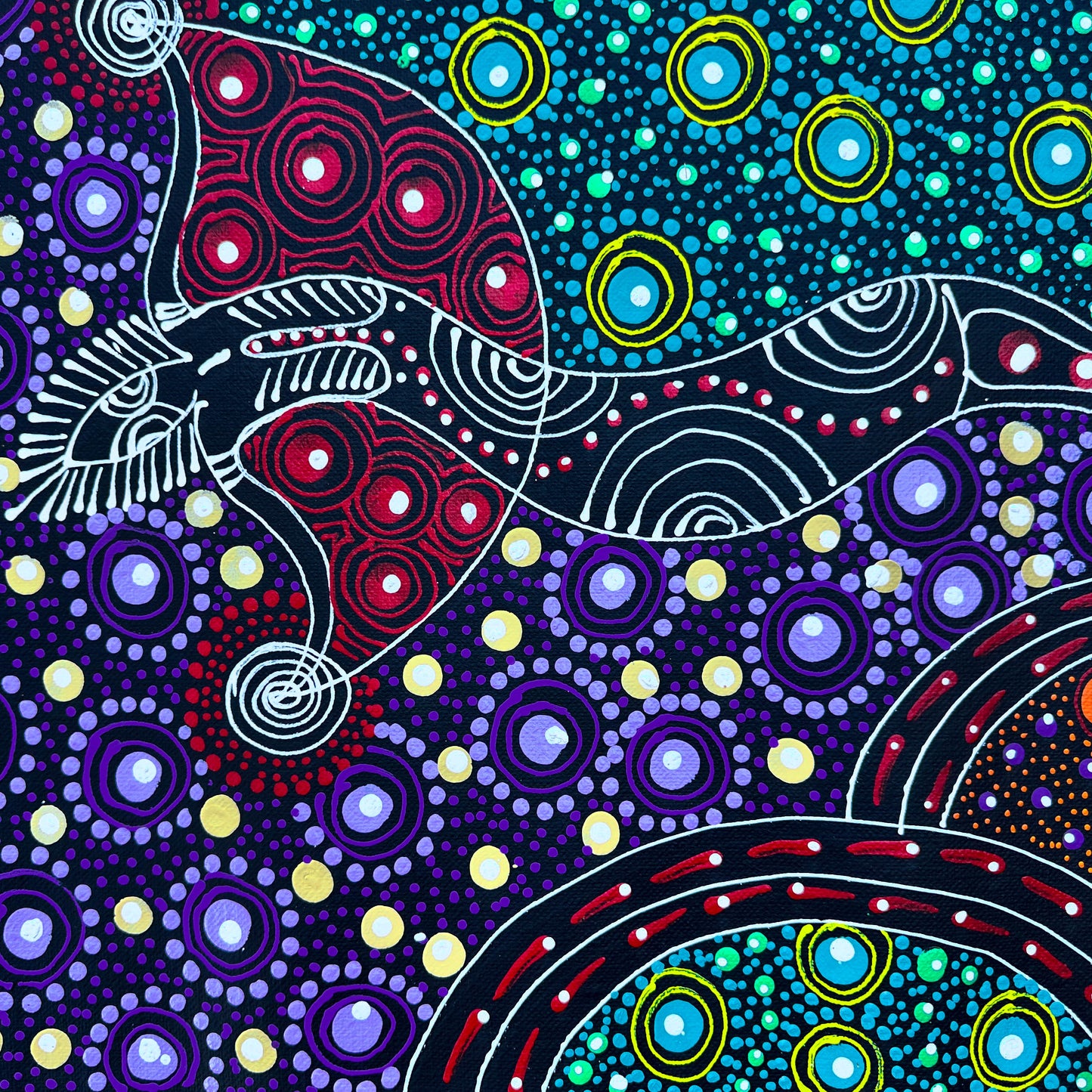 Colleen Wallace, Colleen nungarrayi, colleen nungari, traditional art, contemporary art, altyere aboriginal art, aboriginal art, indigenous art, Australian art, dot painting, dot art work, art, artwork, art for sale, Ltyentye Apurte, painting, painting for sale, wall art, art gallery, Darwin gallery, northern territory, santa Teresa, décor, interior décor, interior design, dot painting, office décor, dot art, art collector, famous artist, dreamings, colour, colourful, intricate, Dream time sisters, 