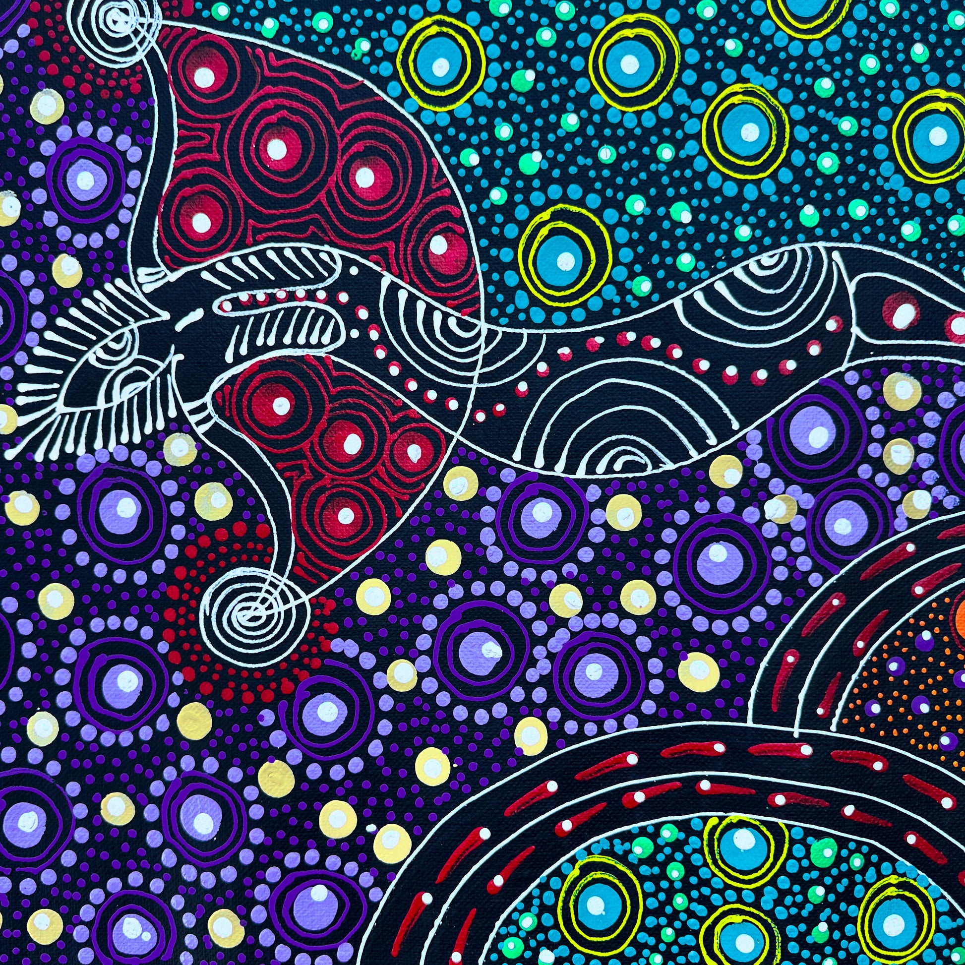 Colleen Wallace, Colleen nungarrayi, colleen nungari, traditional art, contemporary art, altyere aboriginal art, aboriginal art, indigenous art, Australian art, dot painting, dot art work, art, artwork, art for sale, Ltyentye Apurte, painting, painting for sale, wall art, art gallery, Darwin gallery, northern territory, santa Teresa, décor, interior décor, interior design, dot painting, office décor, dot art, art collector, famous artist, dreamings, colour, colourful, intricate, Dream time sisters, 