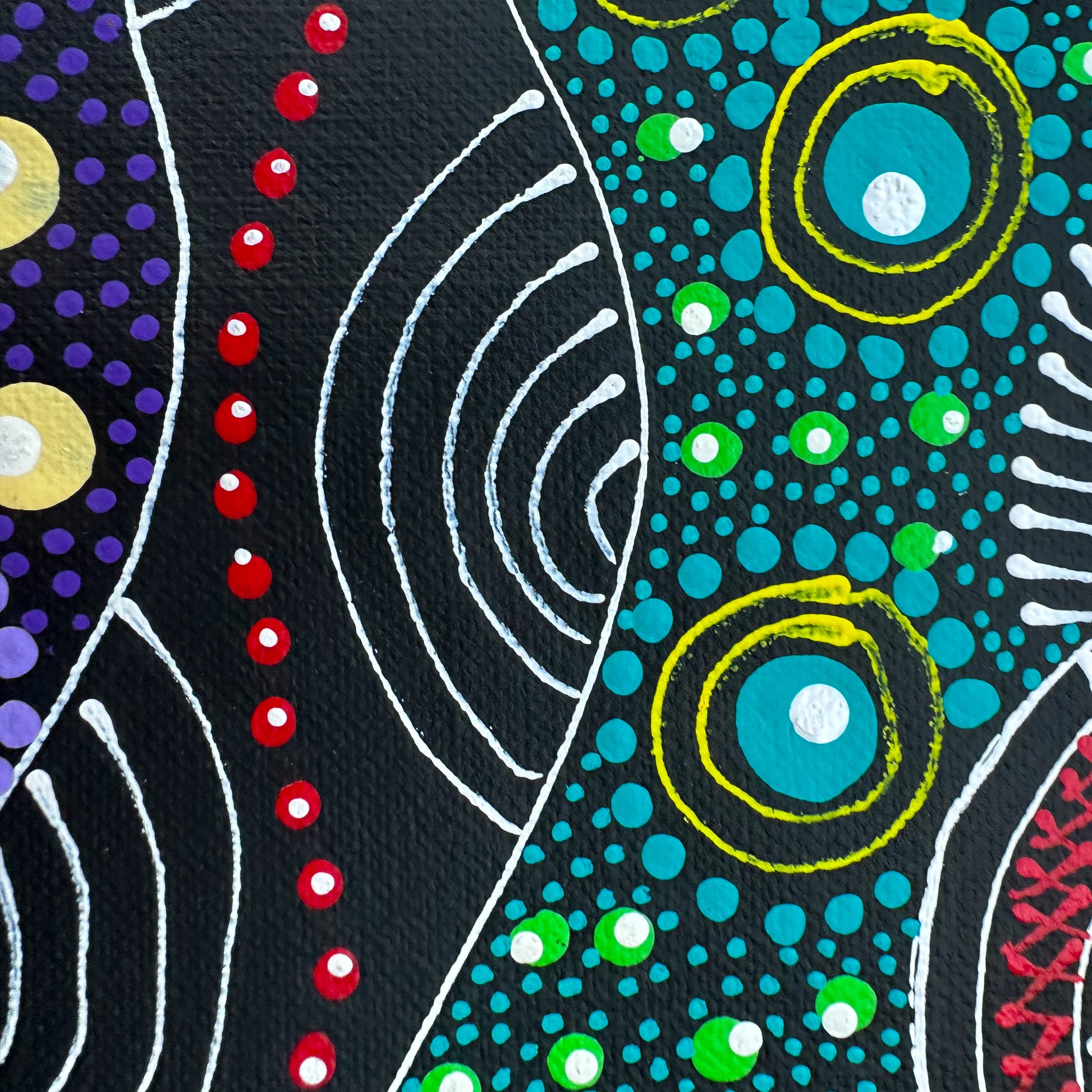 Colleen Wallace, Colleen nungarrayi, colleen nungari, traditional art, contemporary art, altyere aboriginal art, aboriginal art, indigenous art, Australian art, dot painting, dot art work, art, artwork, art for sale, Ltyentye Apurte, painting, painting for sale, wall art, art gallery, Darwin gallery, northern territory, santa Teresa, décor, interior décor, interior design, office, office décor, art lover, art collector, famous artist, dreamings, colour, colourful, intricate, Dream time sisters, eastern Arre