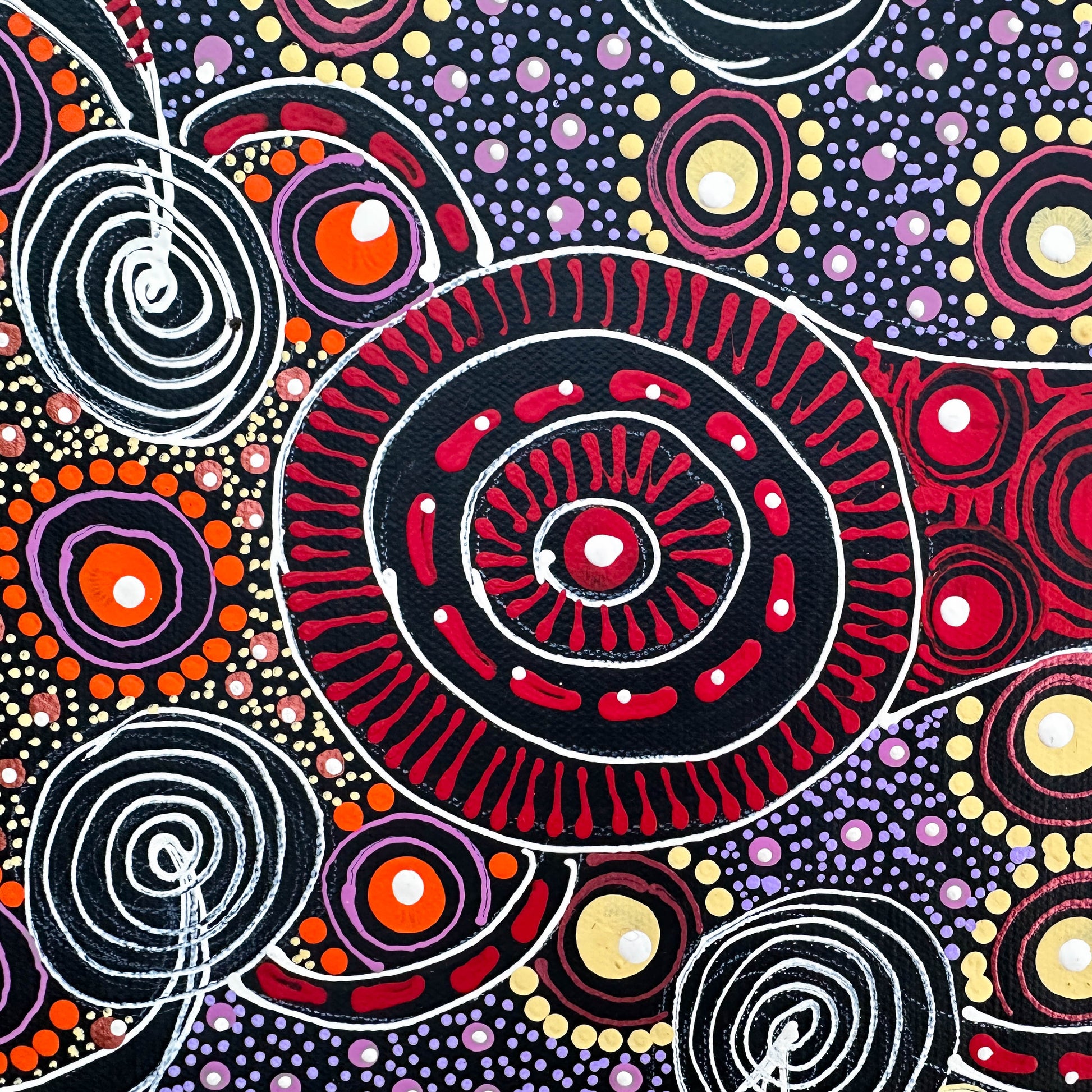 Colleen Wallace, Colleen nungarrayi, colleen nungari, traditional art, contemporary art, altyere aboriginal art, aboriginal art, indigenous art, Australian art, dot painting, dot art work, art, artwork, art for sale, Ltyentye Apurte, painting, painting for sale, wall art, art gallery, Darwin gallery, northern territory, santa Teresa, décor, interior décor, interior design, dot painting, office décor, dot art, art collector, famous artist, dreamings, colour, colourful, intricate, Dream time sisters,
