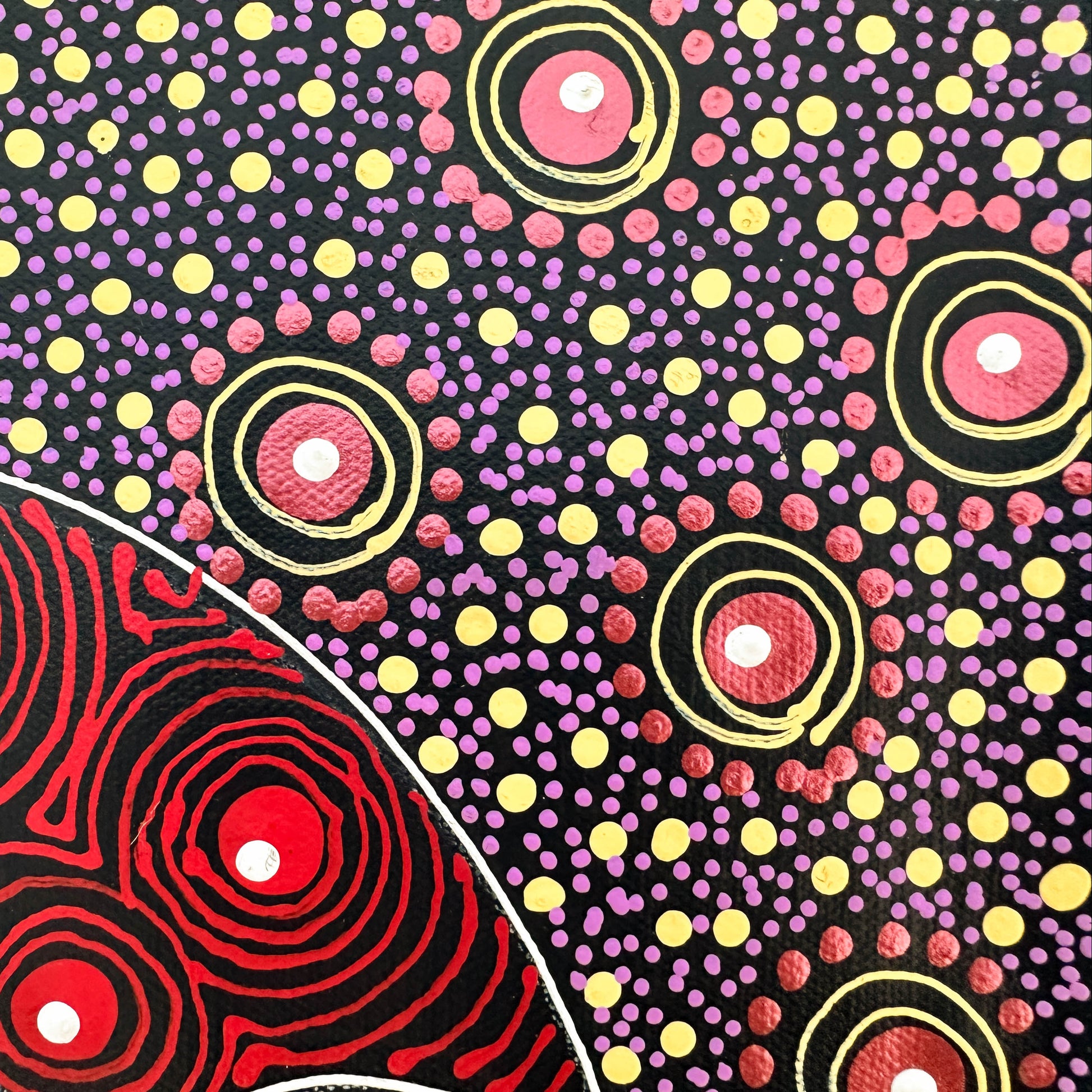 Colleen Wallace, Colleen nungarrayi, colleen nungari, traditional art, contemporary art, altyere aboriginal art, aboriginal art, indigenous art, Australian art, dot painting, dot art work, art, artwork, art for sale, Ltyentye Apurte, painting, painting for sale, wall art, art gallery, Darwin gallery, northern territory, santa Teresa, décor, interior décor, interior design, dot painting, office décor, dot art, art collector, famous artist, dreamings, colour, colourful, intricate, Dream time sisters,