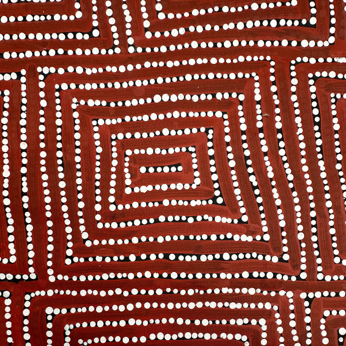 Caroline Ward Nakamarra, Walla Walla, Indigenous art, aboriginal art, austrailan painting, art for sale, painting for sale, altyerre aboriginal art, art gallery, Darwin gallery, dot art, dot painting, Pintupi, Kiwirrkurra, Western Australia, dreaming, interior décor, décor, interior decorating, art collector, western desert art, 