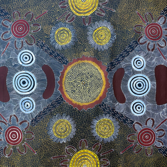 Delores Furber Pultara Napaltjarri + Ltyentye Apurte (Santa Teresa) + Indigenous Art + Aboriginal Art + Australian Art + Painting + Icongraphy + Symbolism + Intricate + Art Story + Traditional Art + Contemporary Art + Darwin Based Gallery