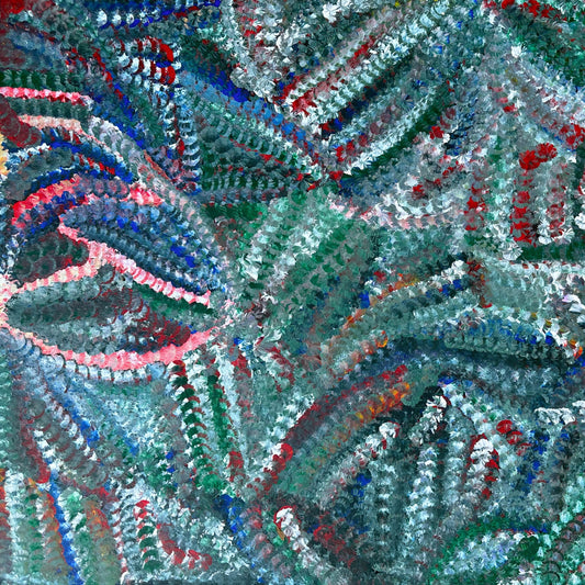 Dolly Mills Petyarre + Utopia + Bush Yam Flowers + Yam Flowers + Contemporary Art + Traditional Art + Darwin Based Galllery + Indigenous Art + Traditional Art + Australian Art + Red + Blue + Green + Pink + White