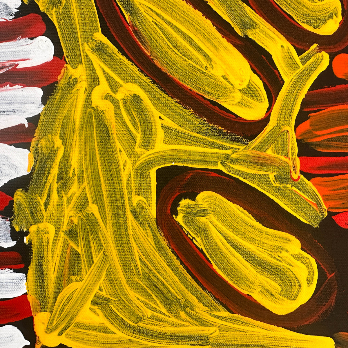 Gracie Nungarrayi Jurrah, Gracie Nungarrayi, My Country, My Country Dreaming, Desert Country, Rockholes, Aerial Perspective, Kintore, Walungurru, Pintupi, Western Desert Art, Northern Territory, Aboriginal Art, Aboriginal Artist, Aboriginal Art for Sale, Indigenous Art, Indigenous Artist, Australian Art, Contemporary Aboriginal Art, Female Artist, Acrylic on Linen, Original Artwork, Art for Sale, Collectable Art, Art Gallery, Darwin Gallery, Altyerre Aboriginal Art, Art, Interior Design, Wall Art