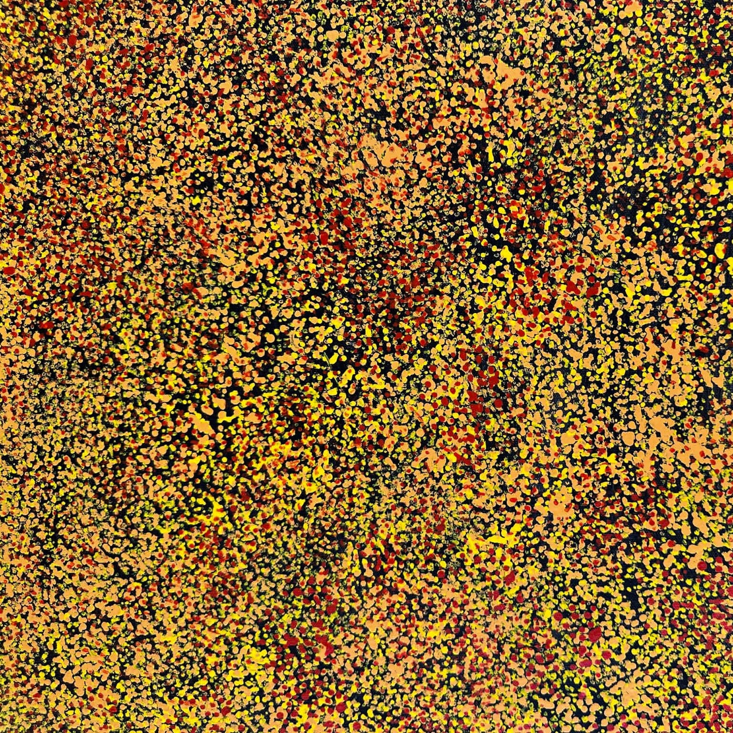 Gracie Morton Pwerle, Pwerl, Indigenous art, Aboriginal art, Australian art, art for sale, painting for sale, art, painting, utopia, dreaming, anwekety, conkerberry, bush plum, famous artist, art collector, altyerre aboriginal art, art gallery, altyerre aboriginal art, interior design, interior decorating, home, home décor, office décor, wall art, art gallery, Darwin gallery, artist, ethical art, original art, direct from the artist, alyawarre, dot art work, dot painting