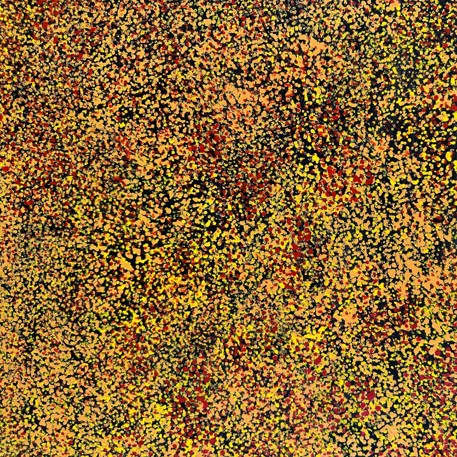 Gracie Morton Pwerle, Pwerl, Indigenous art, Aboriginal art, Australian art, art for sale, painting for sale, art, painting, utopia, dreaming, anwekety, conkerberry, bush plum, famous artist, art collector, altyerre aboriginal art, art gallery, altyerre aboriginal art, interior design, interior decorating, home, home décor, office décor, wall art, art gallery, Darwin gallery, artist, ethical art, original art, direct from the artist, alyawarre, dot art work, dot painting