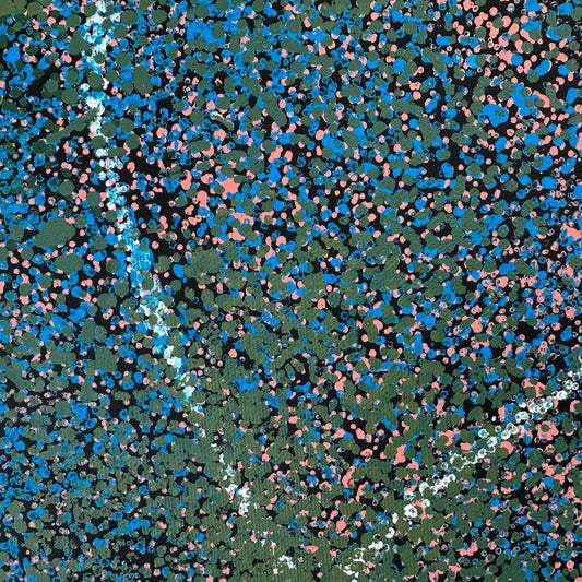 
Gracie Morton Pwerle, Pwerl, Indigenous art, Aboriginal art, Australian art, art for sale, painting for sale, art, painting, utopia, dreaming, anwekety, conkerberry, bush plum, famous artist, art collector, altyerre aboriginal art, art gallery, altyerre aboriginal art, interior design, interior decorating, home, home décor, office décor, wall art, art gallery, Darwin gallery, artist, ethical art, original art, direct from the artist, alyawarre, dot art work, dot painting
