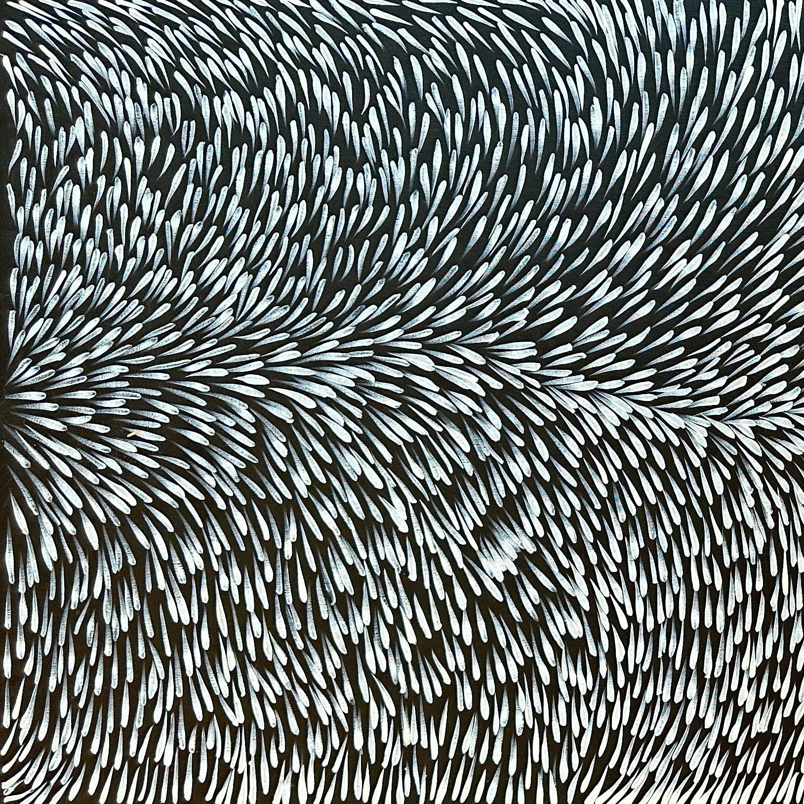 Gloria Tamerre Petyarre Indigenous Art Aboriginal Art Australian Art Bush Medicine Leaves Utopia Contemporary Monochromatic Black and White 