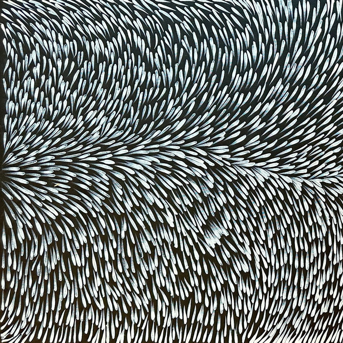 Bush Medicine Aboriginal art
