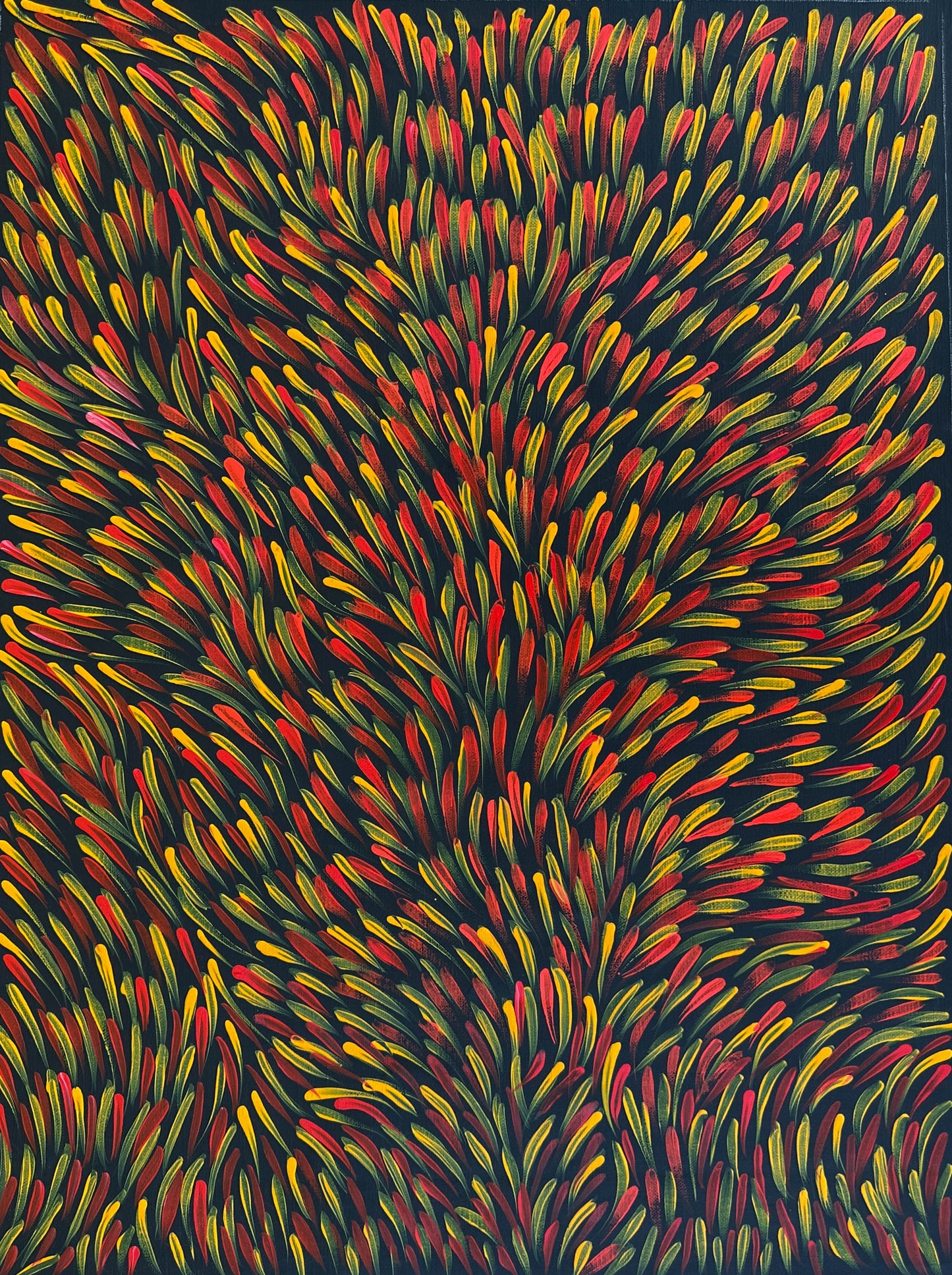 Gloria Tamerre Petyarre + Utopia + Indigenous Art + Aboriginal Art + Australian Art + Bush Medicine Leaves + Orange + Red + Leaves + Contemporary Art + Bush Survival + Darwin Based Art + Family Owned Gallery