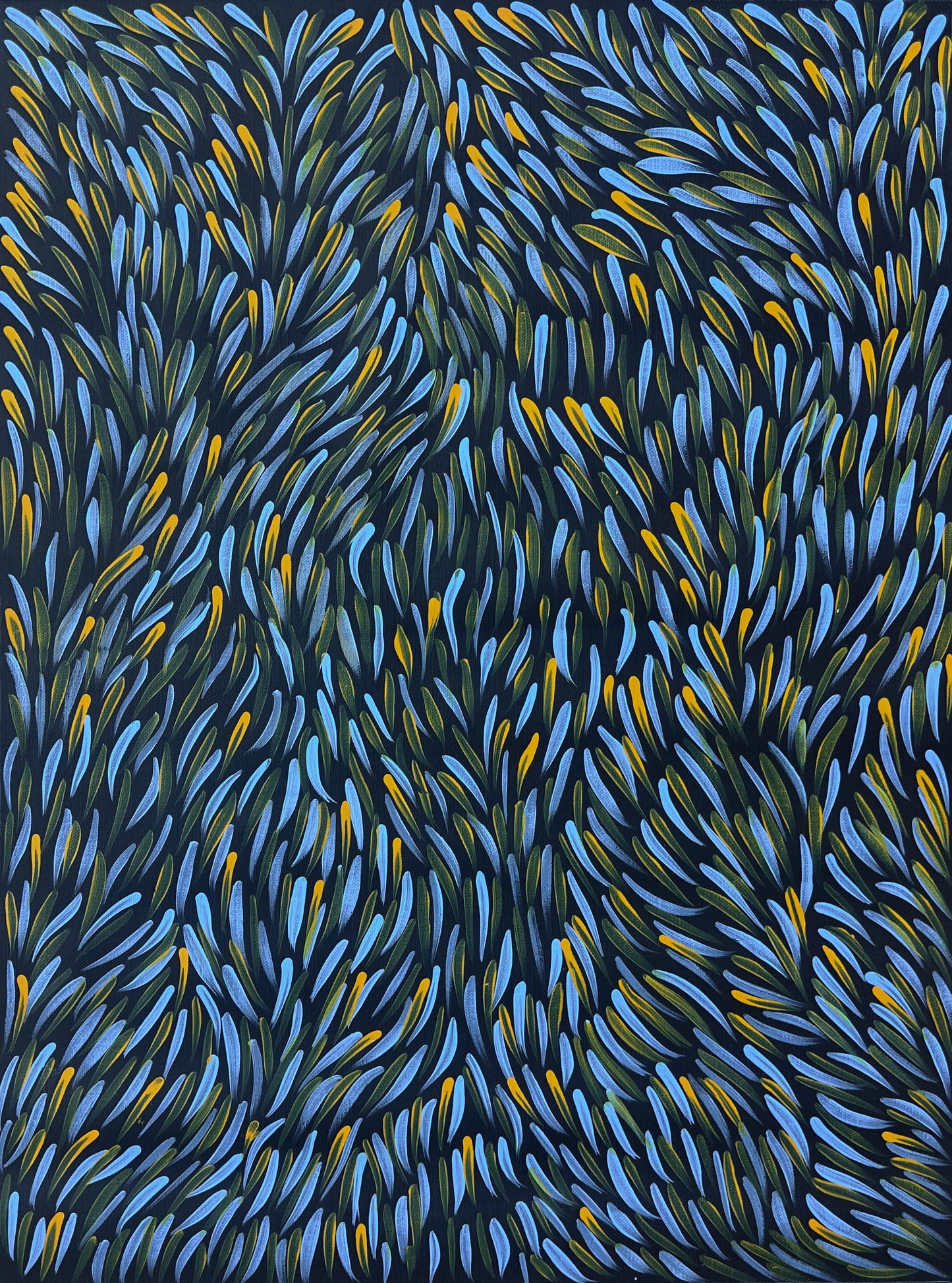Gloria Tamerre Petyarre, Bush Medicine Leaves, Utopia, Art for Sale, Painting for Sale, Indigenous Art, Aboriginal Art, Australian Art, Darwin Art Gallery, Altyerre Aboriginal Art, Darwin Based Gallery, famous indigenous artist, aboriginal dreaming, interior décor, home décor, interior decorating, leaves, 