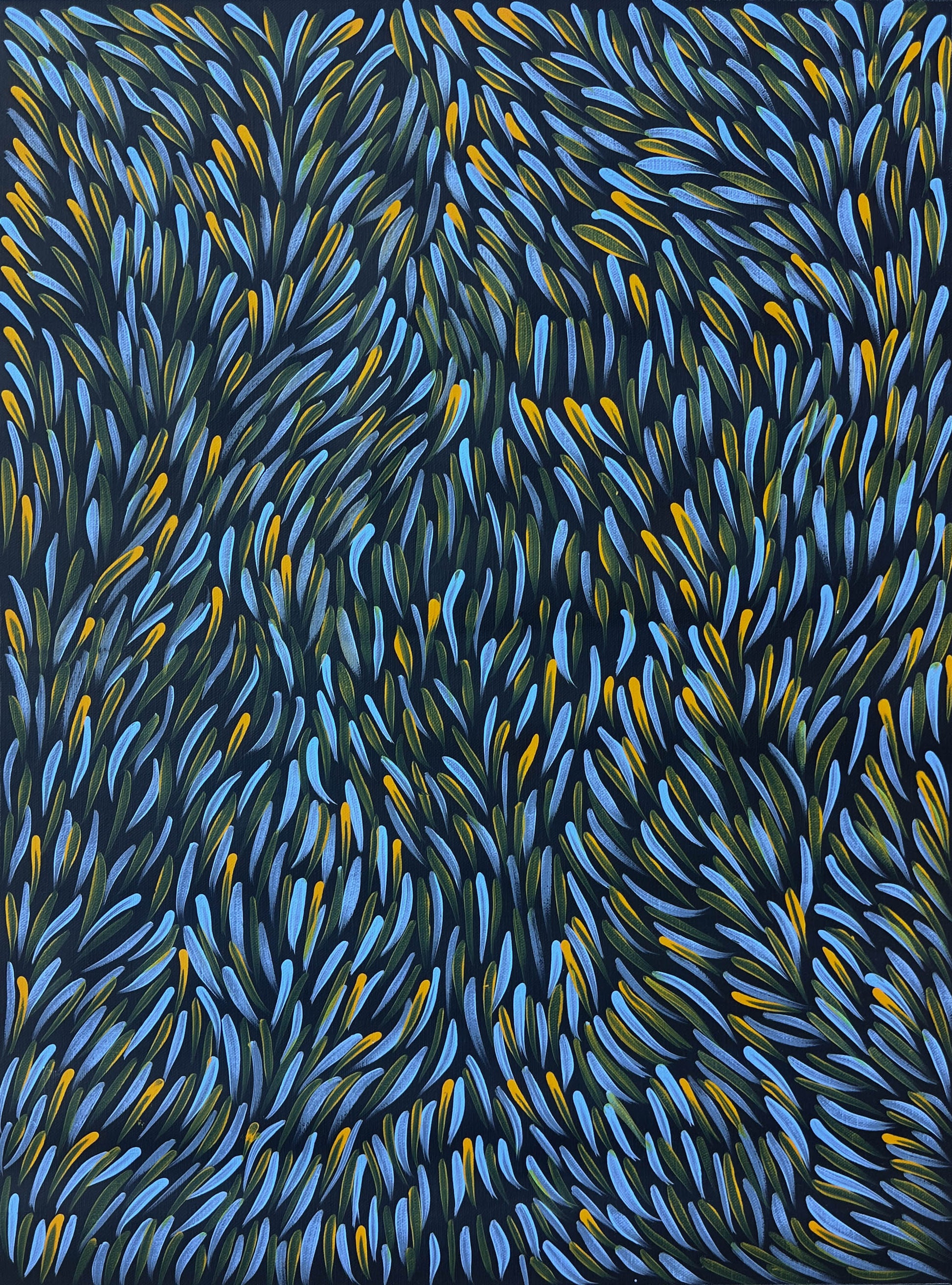 Gloria Tamerre Petyarre, Bush Medicine Leaves, Utopia, Art for Sale, Painting for Sale, Indigenous Art, Aboriginal Art, Australian Art, Darwin Art Gallery, Altyerre Aboriginal Art, Darwin Based Gallery, famous indigenous artist, aboriginal dreaming, interior décor, home décor, interior decorating, leaves, 