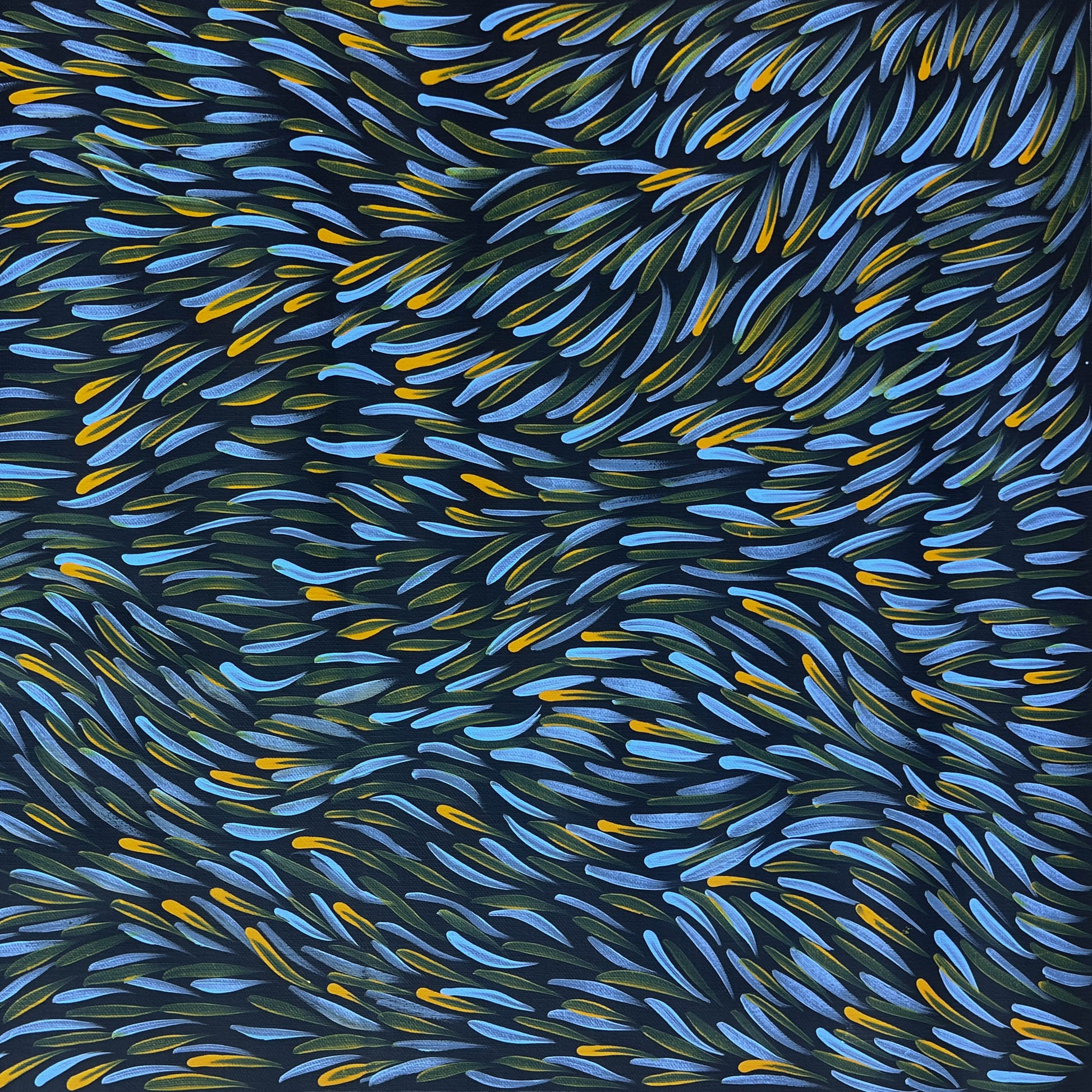 Gloria Tamerre Petyarre, Bush Medicine Leaves, Utopia, Art for Sale, Painting for Sale, Indigenous Art, Aboriginal Art, Australian Art, Darwin Art Gallery, Altyerre Aboriginal Art, Darwin Based Gallery, famous indigenous artist, aboriginal dreaming, interior décor, home décor, interior decorating, leaves, 