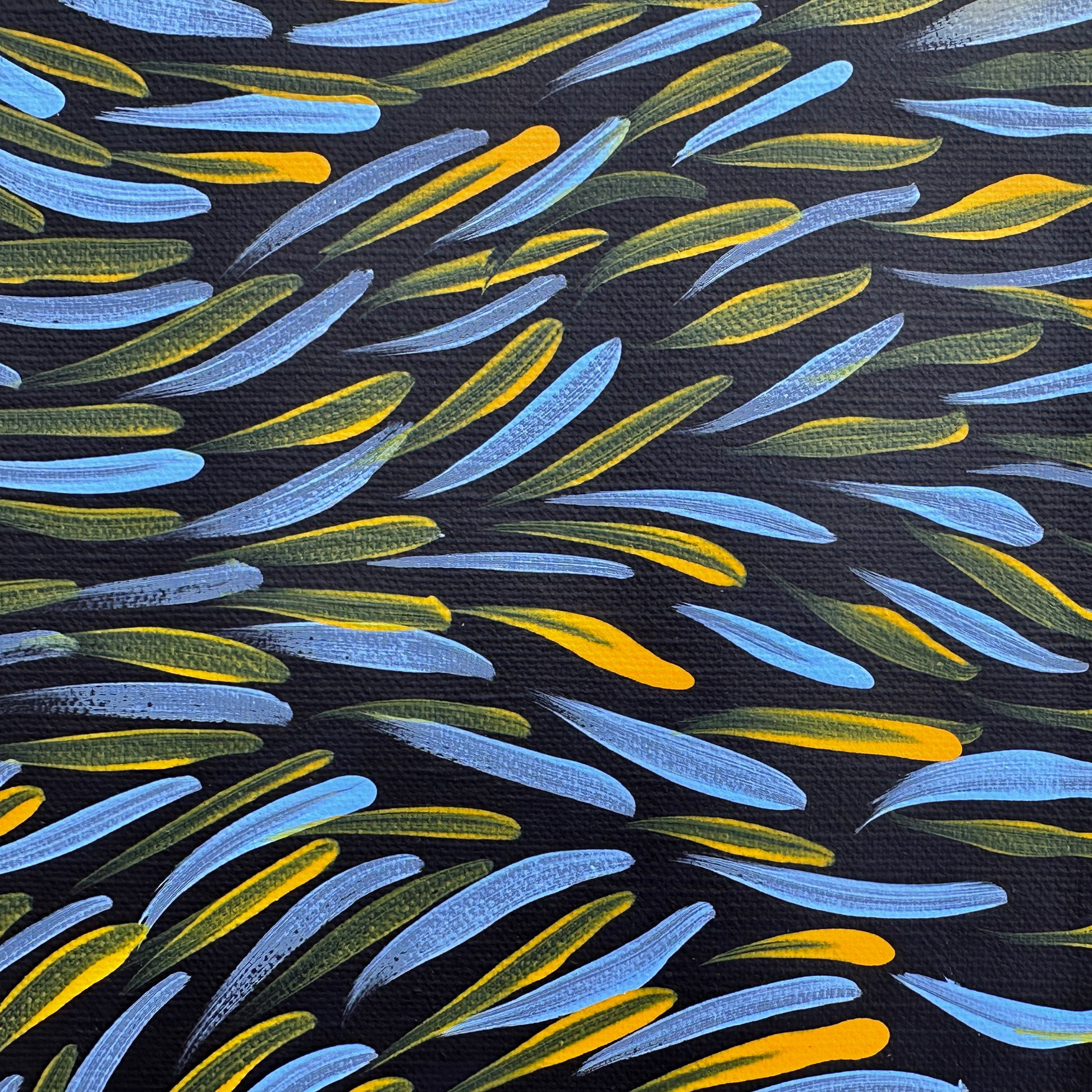 Gloria Tamerre Petyarre, Bush Medicine Leaves, Utopia, Art for Sale, Painting for Sale, Indigenous Art, Aboriginal Art, Australian Art, Darwin Art Gallery, Altyerre Aboriginal Art, Darwin Based Gallery, famous indigenous artist, aboriginal dreaming, interior décor, home décor, interior decorating, leaves, 