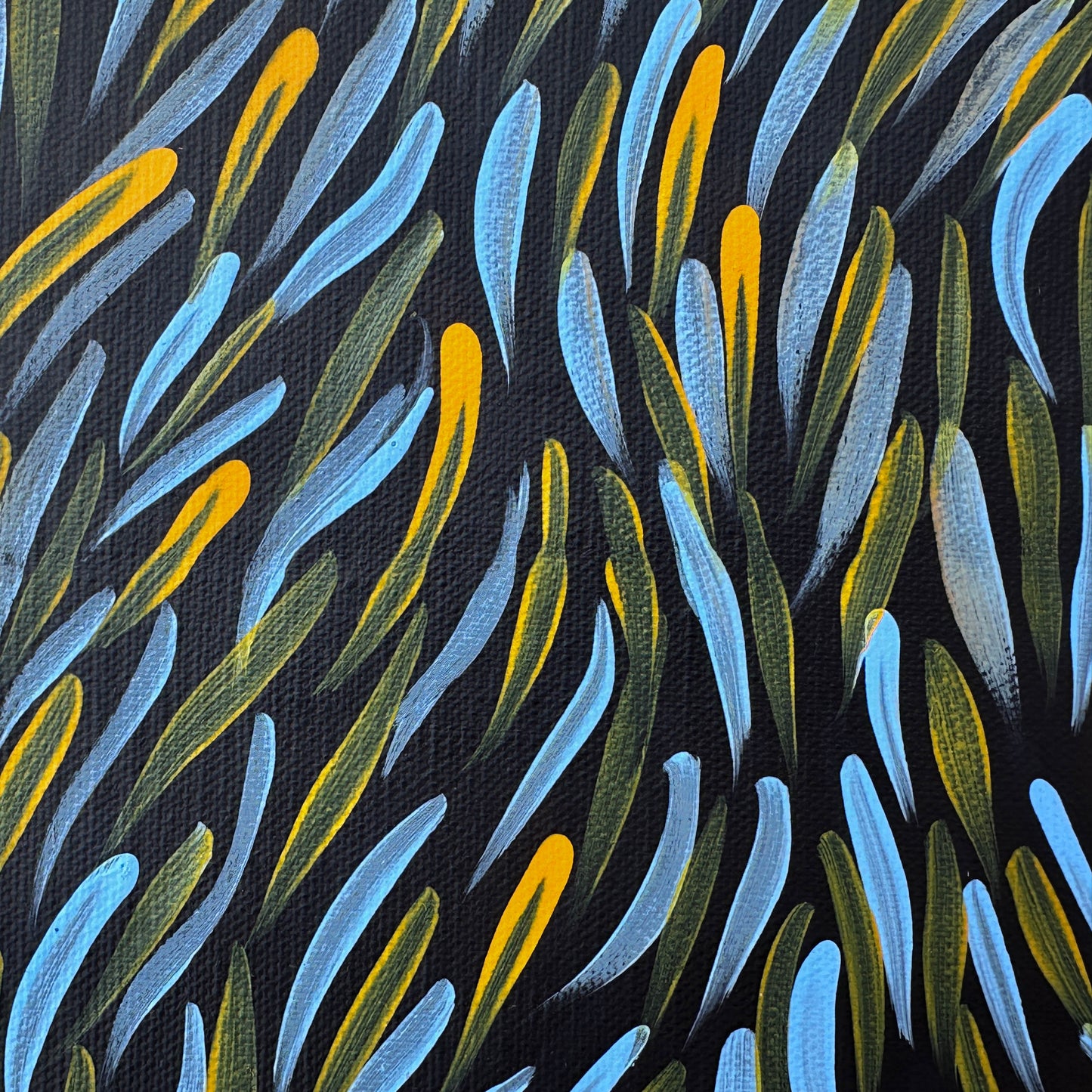 Gloria Tamerre Petyarre, Bush Medicine Leaves, Utopia, Art for Sale, Painting for Sale, Indigenous Art, Aboriginal Art, Australian Art, Darwin Art Gallery, Altyerre Aboriginal Art, Darwin Based Gallery, famous indigenous artist, aboriginal dreaming, interior décor, home décor, interior decorating, leaves, 