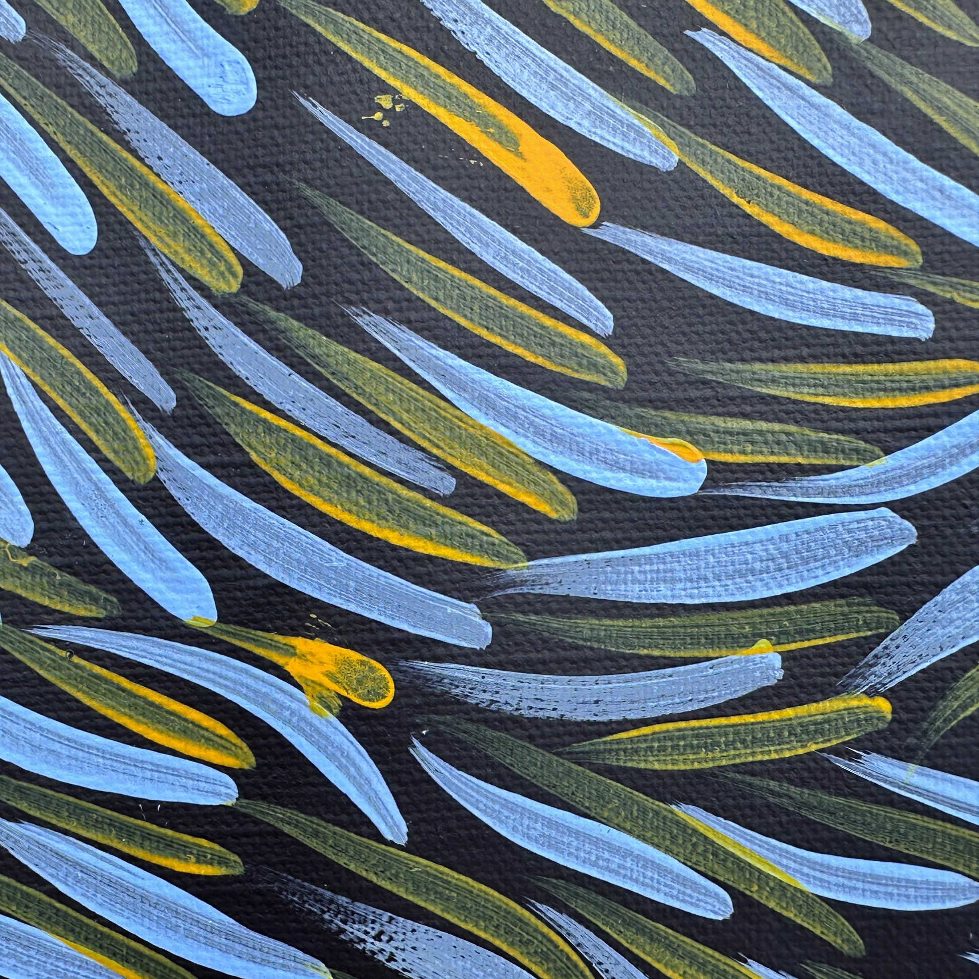 Gloria Tamerre Petyarre, Bush Medicine Leaves, Utopia, Art for Sale, Painting for Sale, Indigenous Art, Aboriginal Art, Australian Art, Darwin Art Gallery, Altyerre Aboriginal Art, Darwin Based Gallery, famous indigenous artist, aboriginal dreaming, interior décor, home décor, interior decorating, leaves, 