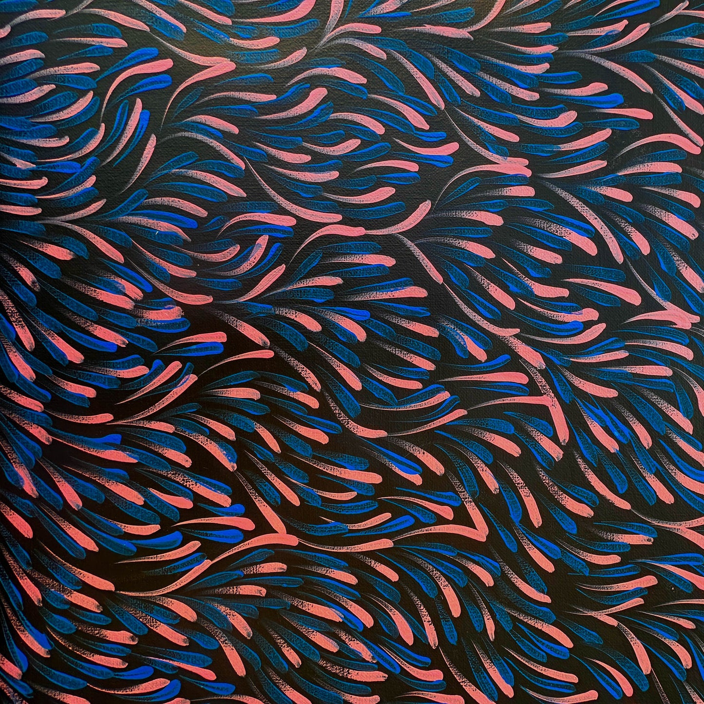 Gloria Tamerre Petyarre, Bush Medicine Leaves, Utopia, Art for Sale, Painting for Sale, Indigenous Art, Aboriginal Art, Australian Art, Darwin Art Gallery, Altyerre Aboriginal Art, Darwin Based Gallery, famous indigenous artist, aboriginal dreaming, interior décor, home décor, interior decorating