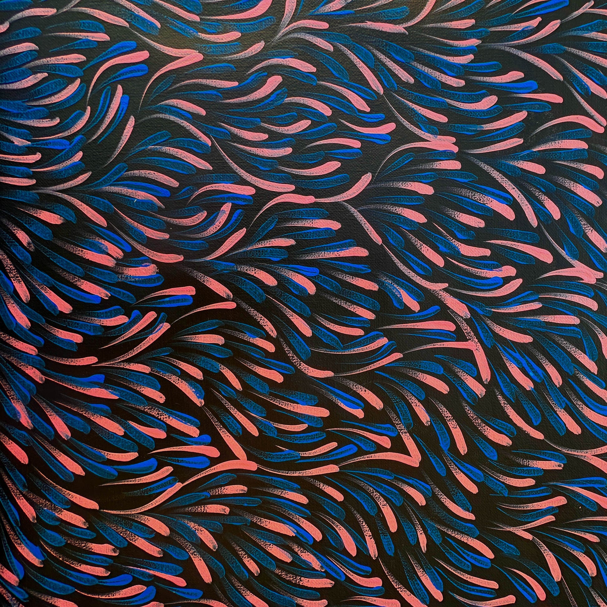 Gloria Tamerre Petyarre, Bush Medicine Leaves, Utopia, Art for Sale, Painting for Sale, Indigenous Art, Aboriginal Art, Australian Art, Darwin Art Gallery, Altyerre Aboriginal Art, Darwin Based Gallery, famous indigenous artist, aboriginal dreaming, interior décor, home décor, interior decorating