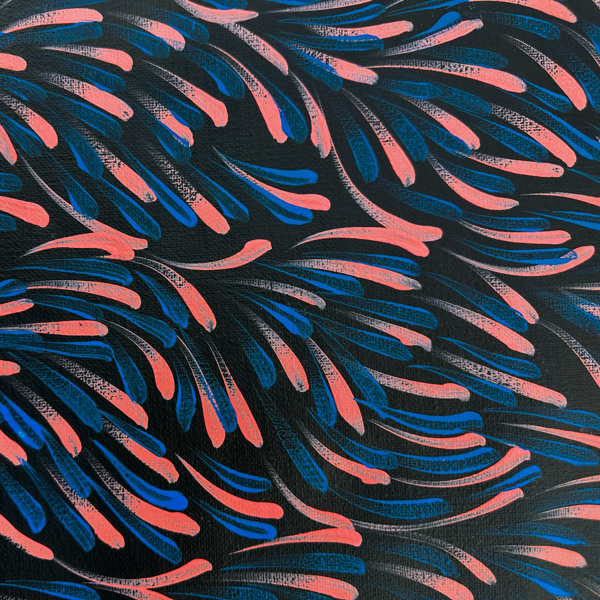 Gloria Tamerre Petyarre, Bush Medicine Leaves, Utopia, Art for Sale, Painting for Sale, Indigenous Art, Aboriginal Art, Australian Art, Darwin Art Gallery, Altyerre Aboriginal Art, Darwin Based Gallery, famous indigenous artist, aboriginal dreaming, interior décor, home décor, interior decorating