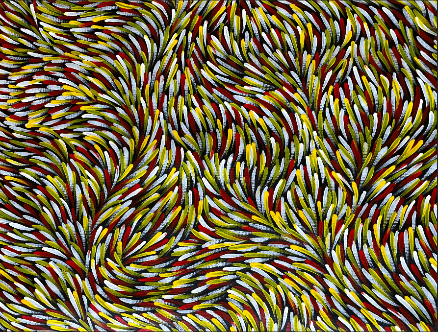 Gloria Tamerre Petyarre Bush Medicine Leaves Utopia Movement Contemporary Bush Medicine Indigenous Art Aboriginal Art Australian Art Art Gallery Red Yellow White Masterpiece Altyerre Aboriginal Art Painting