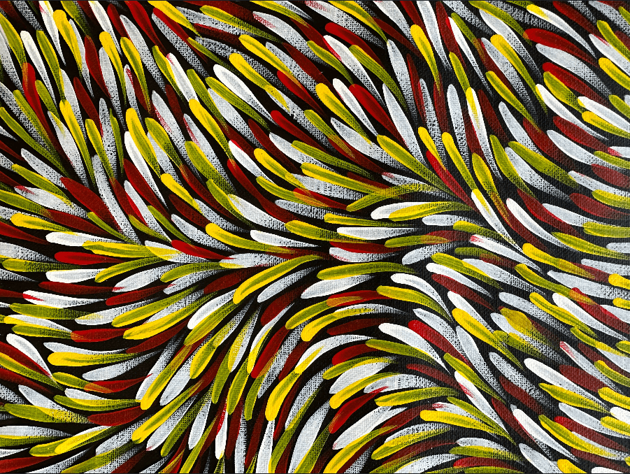 Gloria Tamerre Petyarre Bush Medicine Leaves Utopia Movement Contemporary Bush Medicine Indigenous Art Aboriginal Art Australian Art Art Gallery Red Yellow White Masterpiece Altyerre Aboriginal Art Painting