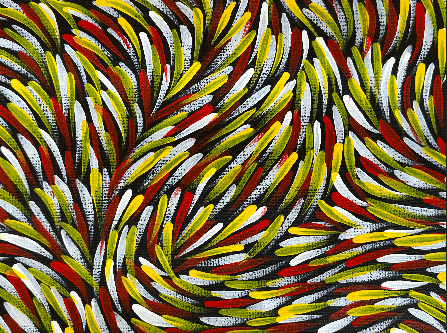 Gloria Tamerre Petyarre Bush Medicine Leaves Utopia Movement Contemporary Bush Medicine Indigenous Art Aboriginal Art Australian Art Art Gallery Red Yellow White Masterpiece Altyerre Aboriginal Art Painting