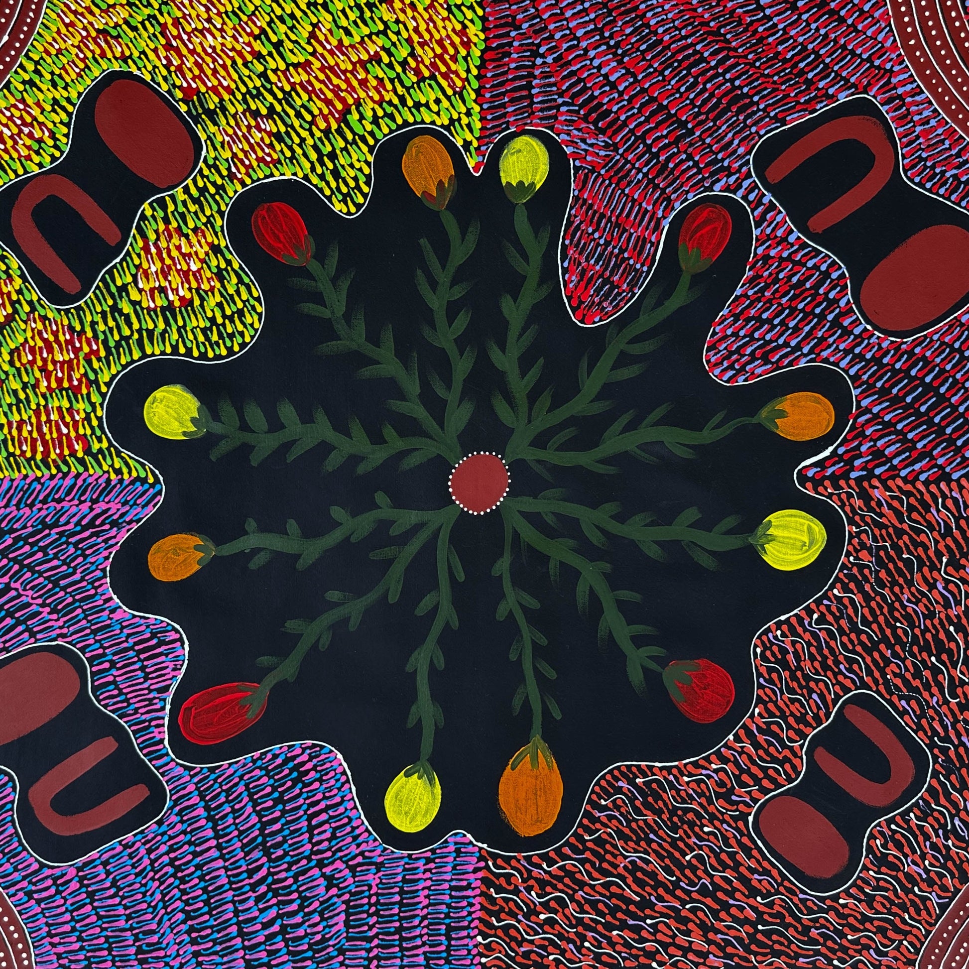 Jessie Bird Nangala Ngale + Utopia + Colourful art + Traditional art + Aboriginal art + Indigenous Art + Bush Tucker + Bush Food + Darwin Based Gallery + Iconography + Symbolism + Dreaming + Darwin Based Gallery 