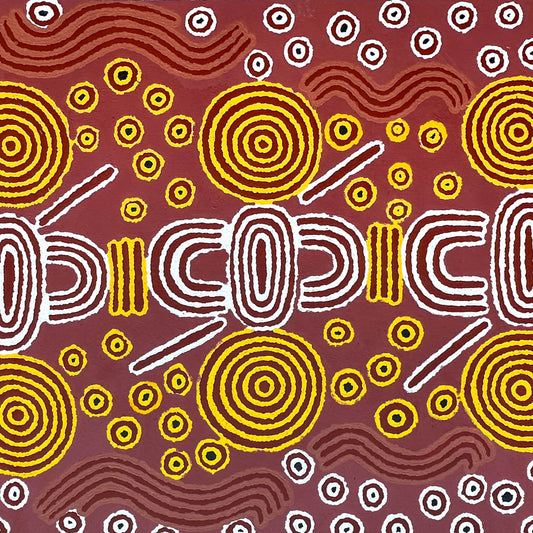 Julie Dempsey Napaltjarri + Papunya ++ aboriginal art + indigenous art + Australian art + darwin Based gallery + art for sale + painting for sale + aerial painting + iconography + symbolism + mina Tjuta + altyerre + altyerre aboriginnal art + painting for sale + artwork + art story 