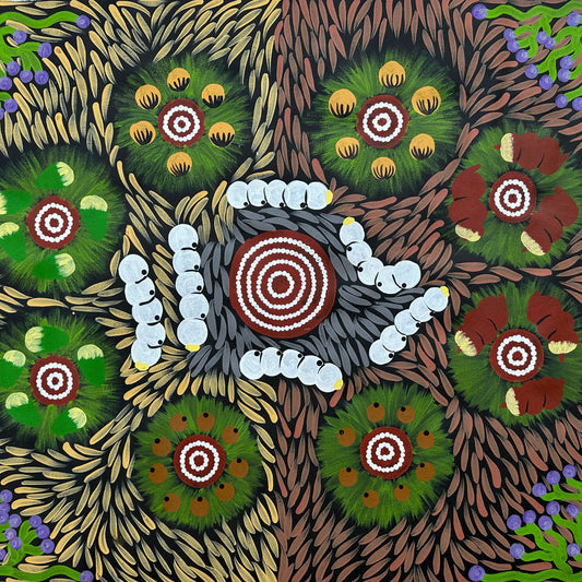 Julie Dempsey Napaltjarri + Bush Tucker + Papunya + Bush Plum + Bush Onion + Bush Potato + Bush Banana + Witchetty Grub + Inndigenous Art + Aboriginnal Art + Australian Art + Darwin Based Gallery + Painting for sale + Art work for Sale