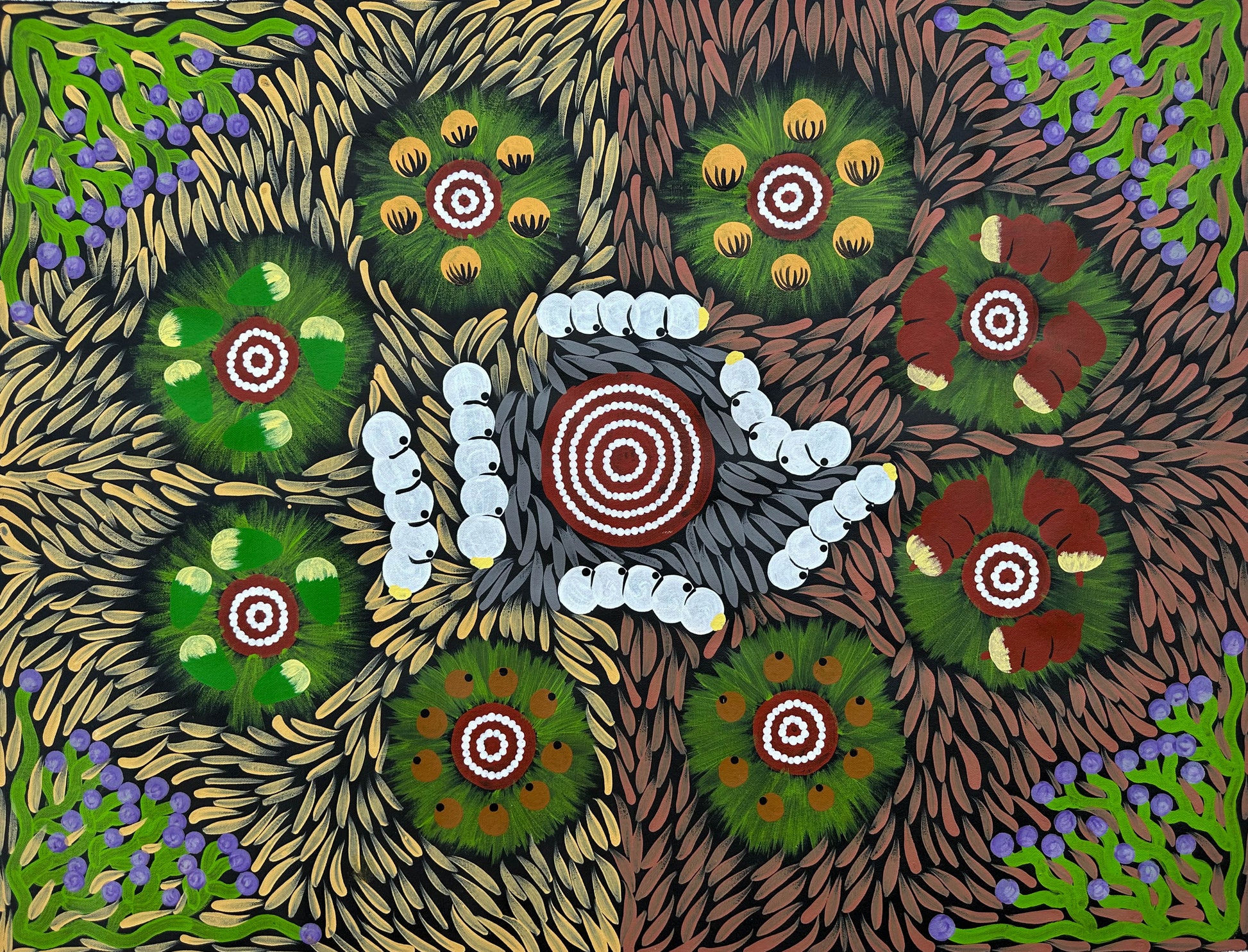 Julie Dempsey Napaltjarri + Bush Tucker + Papunya + Bush Plum + Bush Onion + Bush Potato + Bush Banana + Witchetty Grub + Inndigenous Art + Aboriginnal Art + Australian Art + Darwin Based Gallery + Painting for sale + Art work for Sale