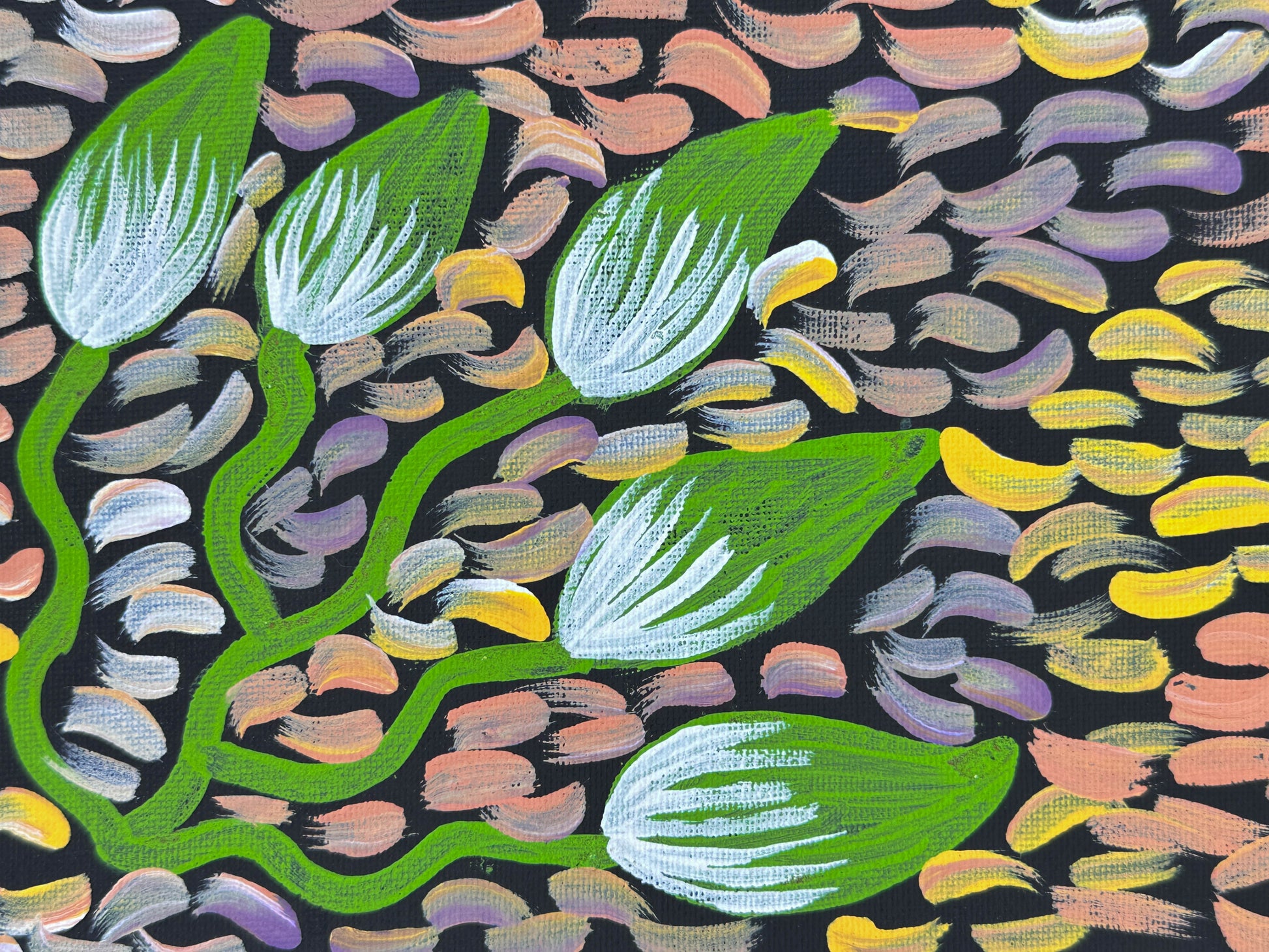 Julie Napaltjarri Dempsey + Papunya + indigenous art + Aboriginal art + australian art + bush tucker + bush foods + altyerre aboriginal art + art for sale + painting for sale + darwin based art gallery +