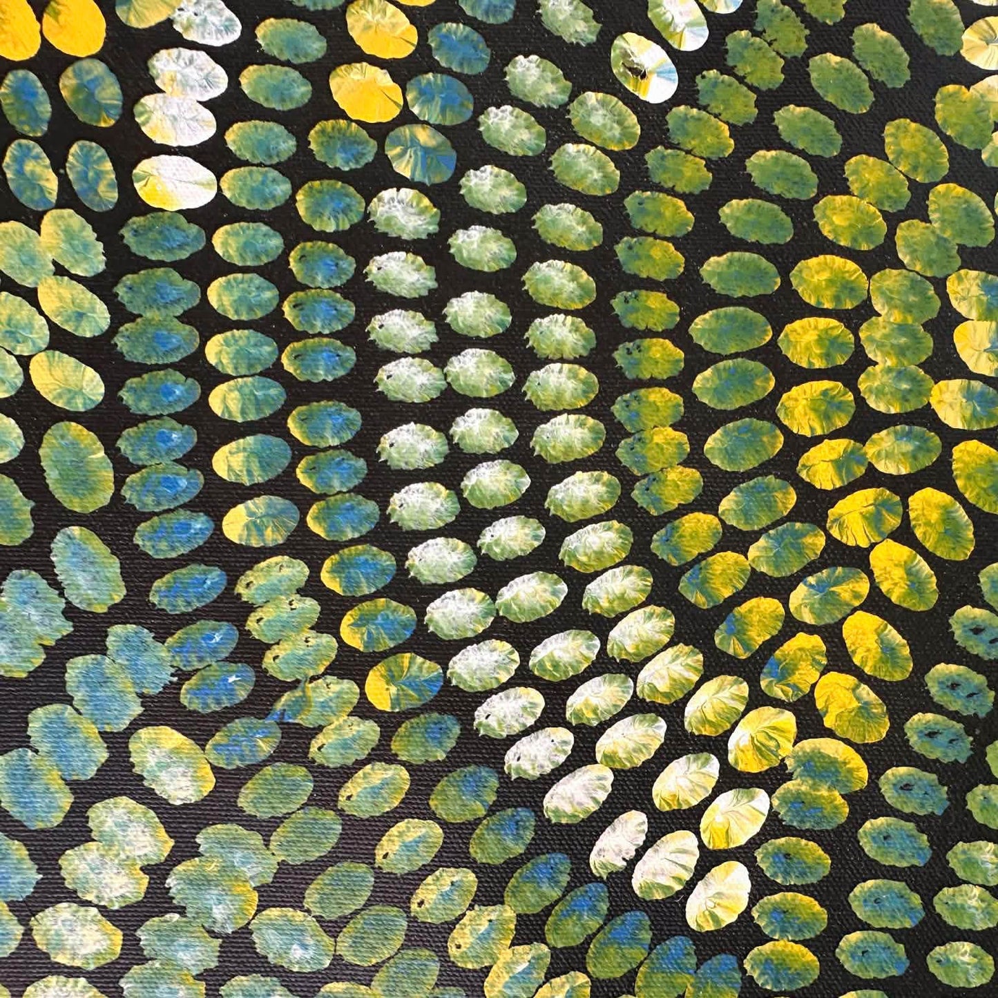 #Janetgolder #JanetGolderKngwarreye #utopia #bushtucker #yamflower #awelye #indigenousart #aboriginalart #australianart #art #artforsale #painting #paintingforsale #familybusiness #artgallery #altyerreaboriginalart #wallart #decor #interiordesign #interiordesigner #artcolletor #artlover #authenticart #origionalart #ethicalart 